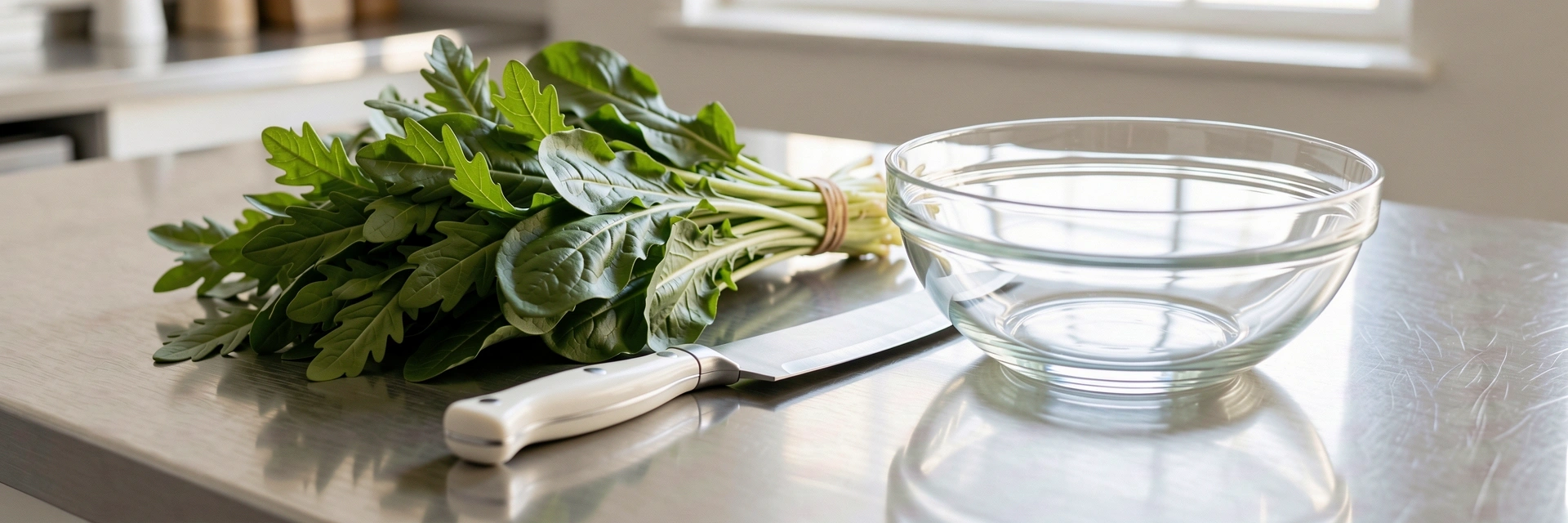 Profesjonalna kuchnia Gotowanie bez Tłuszczu